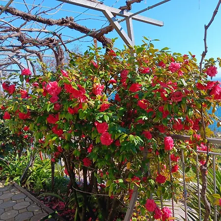 Apartman With Parking Space Medveja, Opatija - 7721